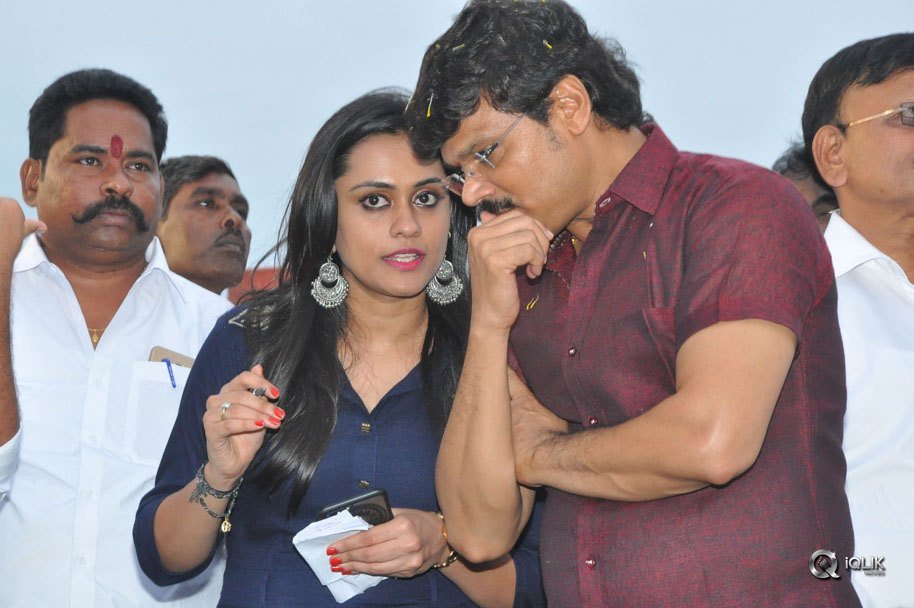 Jaya-Janaki-Nayaka-Movie-Vijayotsava-Veduka-At-Hamsala-Deevi